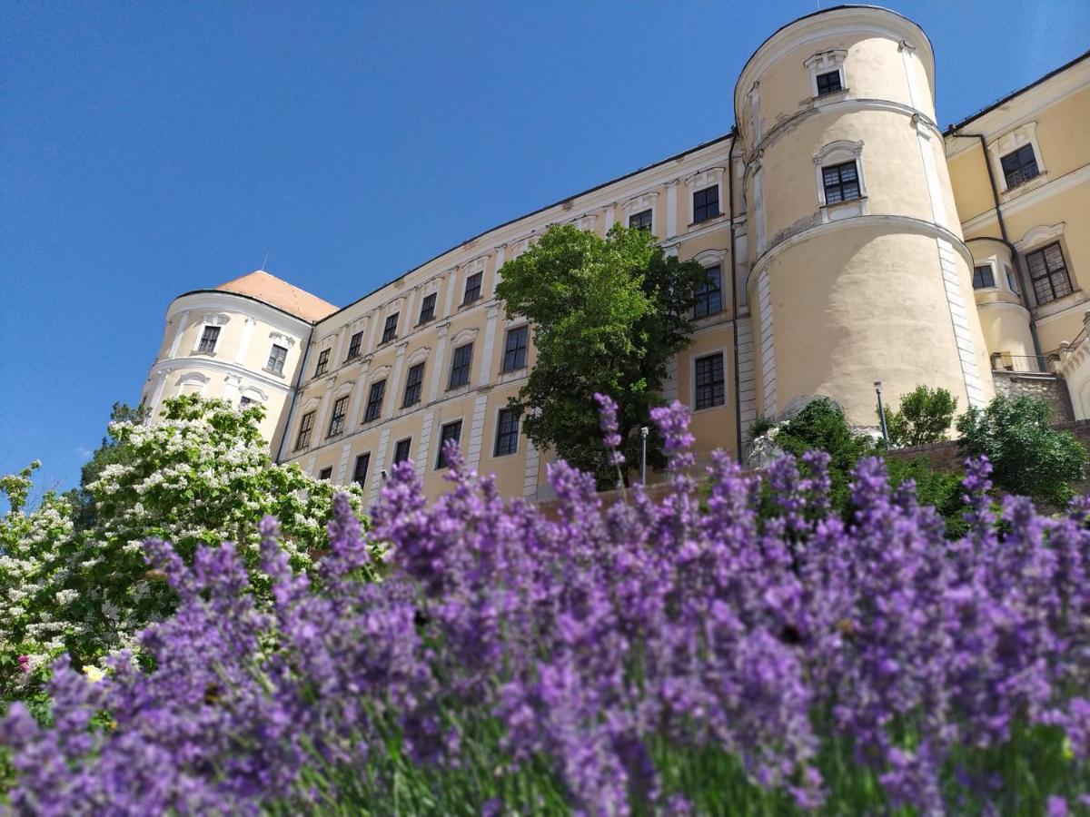 Apartman Jan Břeclav Buitenkant foto